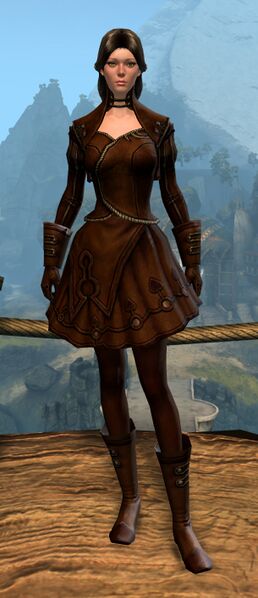 File:Chocolate Dye (light armor).jpg