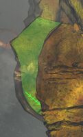 Kodama drop.jpg