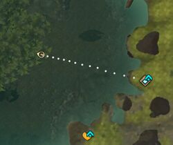 Master Diver Timberline Falls.jpg