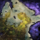 Skyscale Lost—Goemm's Lab.png