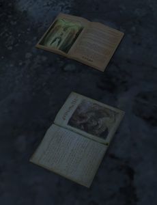 Tattered Book.jpg