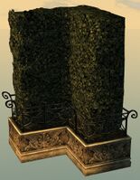 Hedge Corner.jpg