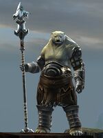 Kodan male 1 (staff).jpg