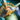 Magister's Pack.png