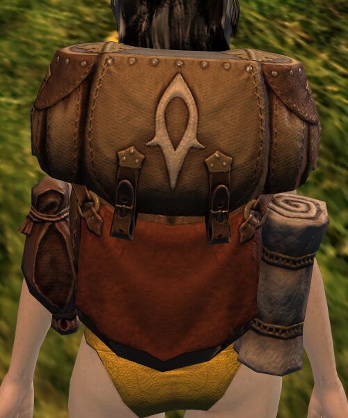 File:Medic Rosina's Satchel.jpg