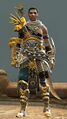 Sunspear heavy male 3.jpg