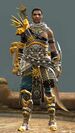 Sunspear heavy male 3.jpg