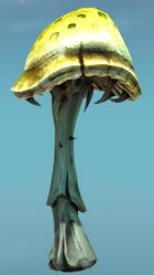 Thorny Mushroom.jpg