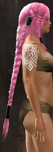 Unique norn female hair side 2.jpg