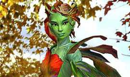 Tilia Gorani