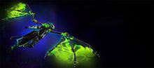 Vine-Touched Destroyer Glider Combo banner.jpg