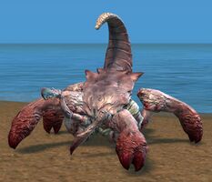 Young Karka (combat).jpg