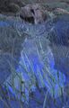 Thumbnail for version as of 23:49, 16 April 2025
