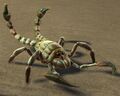 Devourer Hatchling.jpg