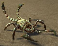 Devourer Hatchling.jpg