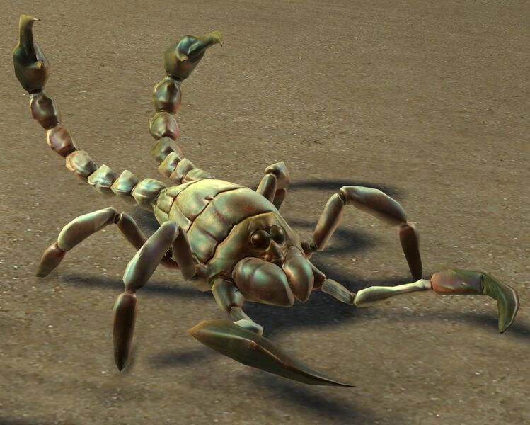 File:Devourer Hatchling.jpg