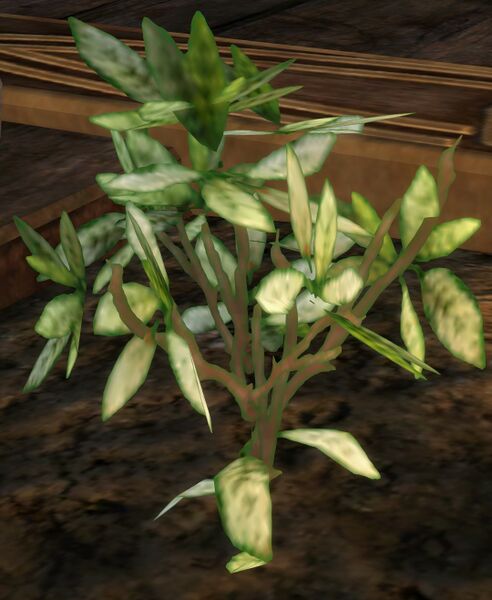 File:Growing Crops Larger.jpg