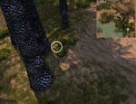Hidden Carrot Hunt 4 map.jpg