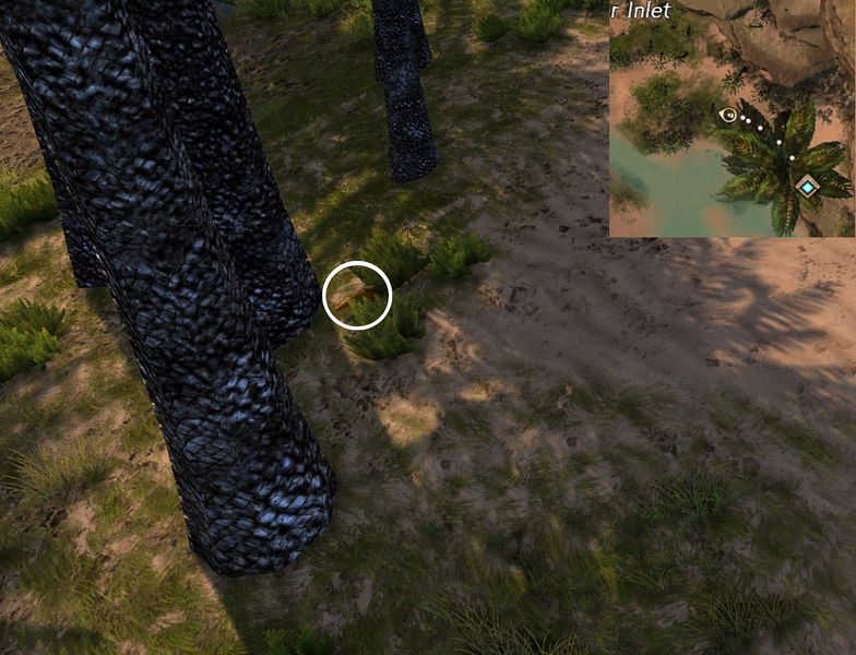 File:Hidden Carrot Hunt 4 map.jpg
