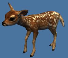 Mini Fawn.jpg