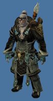 Mini Shaman Of Jormag.jpg