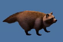 Mini Tanuki.jpg