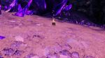 Mist-Touched Cache - North From Vanguard Salvage Yard Screen Shot.jpg