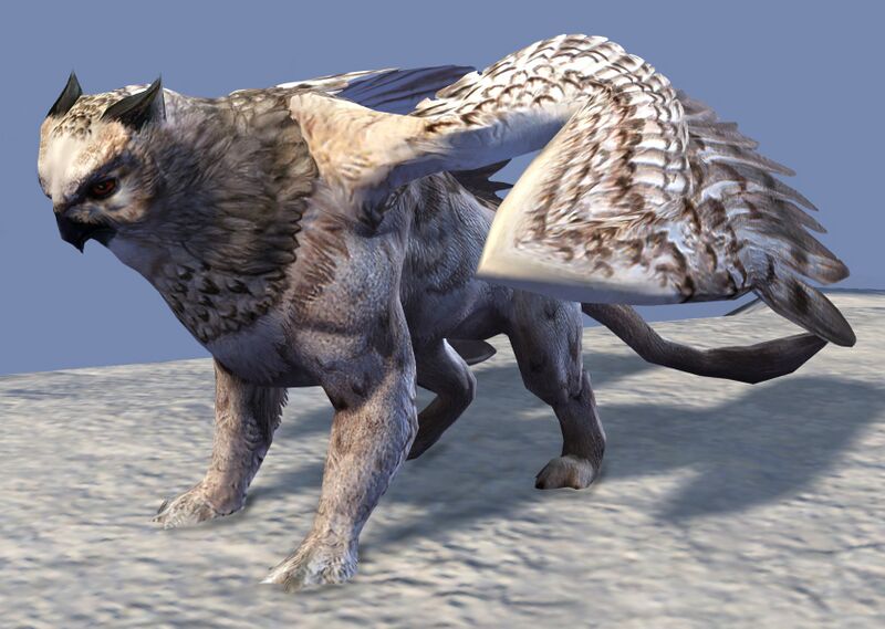 File:Owl Griffon.jpg