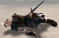 Passed Out Warrior (alt2).jpg