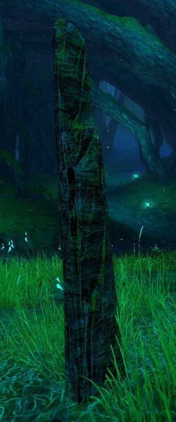 File:Petrified Echovald Sapling.jpg