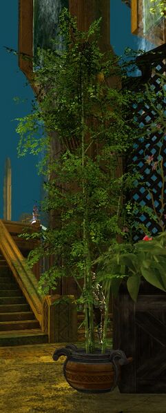 File:Potted Bamboo Cluster.jpg