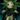 Quaggan Seaweed Doll.png