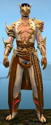 Warbeast armor (light) human male front.jpg