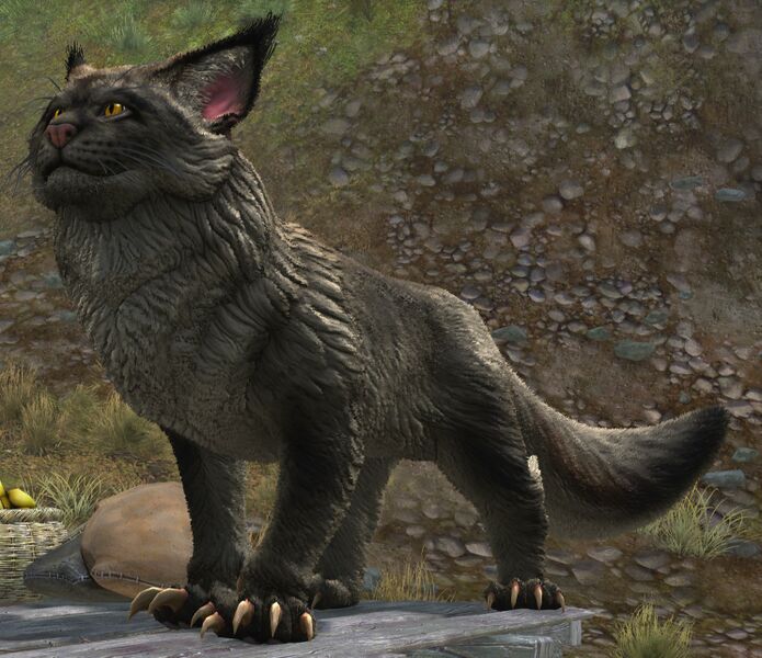 File:Warclaw (grey).jpg