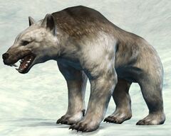 Arctodus.jpg
