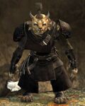 Ash Legion female 4.jpg
