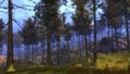 Thumbnail for version as of 11:13, 15 March 2021