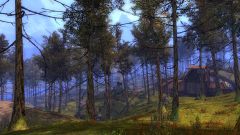 Borealis Forest.jpg