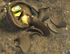 Forgotten Debris.jpg