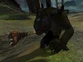 Hallucination (ettin).jpg