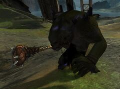 Hallucination (ettin).jpg