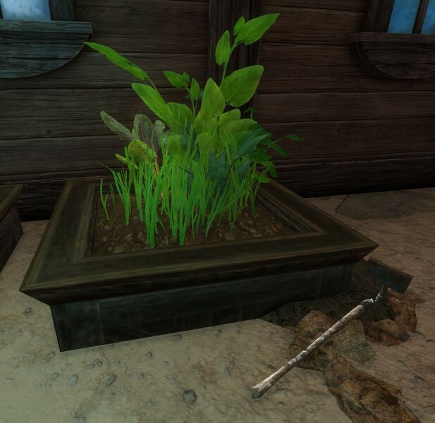 File:Herbs (object).jpg