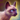 Mini Siamese Cat.png