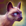 Mini Siamese Cat.png