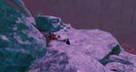 No Chest Unopened location 6.jpg