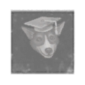 Thumbnail for version as of 19:18, 13 November 2018