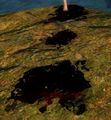 Thumbnail for version as of 21:07, 23 August 2014