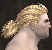Unique norn male hair side 11.jpg