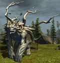 Veteran Pinesoul.jpg