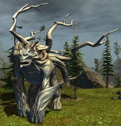 Veteran Pinesoul.jpg